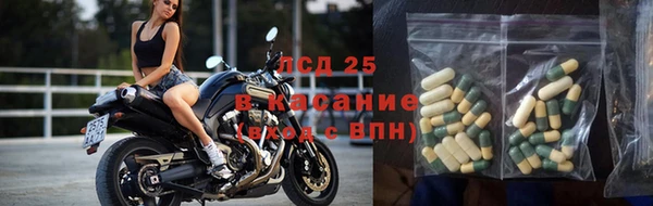 PSILOCYBIN Нефтегорск