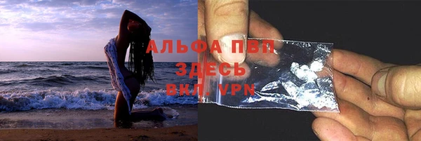 PSILOCYBIN Нефтегорск