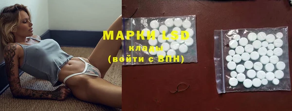 PSILOCYBIN Нефтегорск