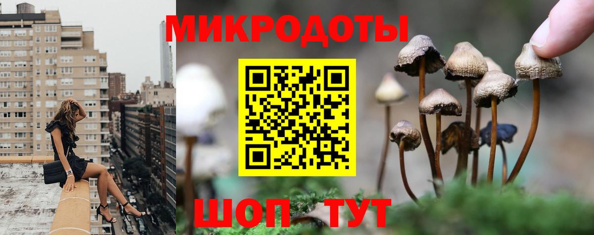 Псилоцибиновые грибы MAGIC MUSHROOMS  Вход с VPN  Магнитогорск 